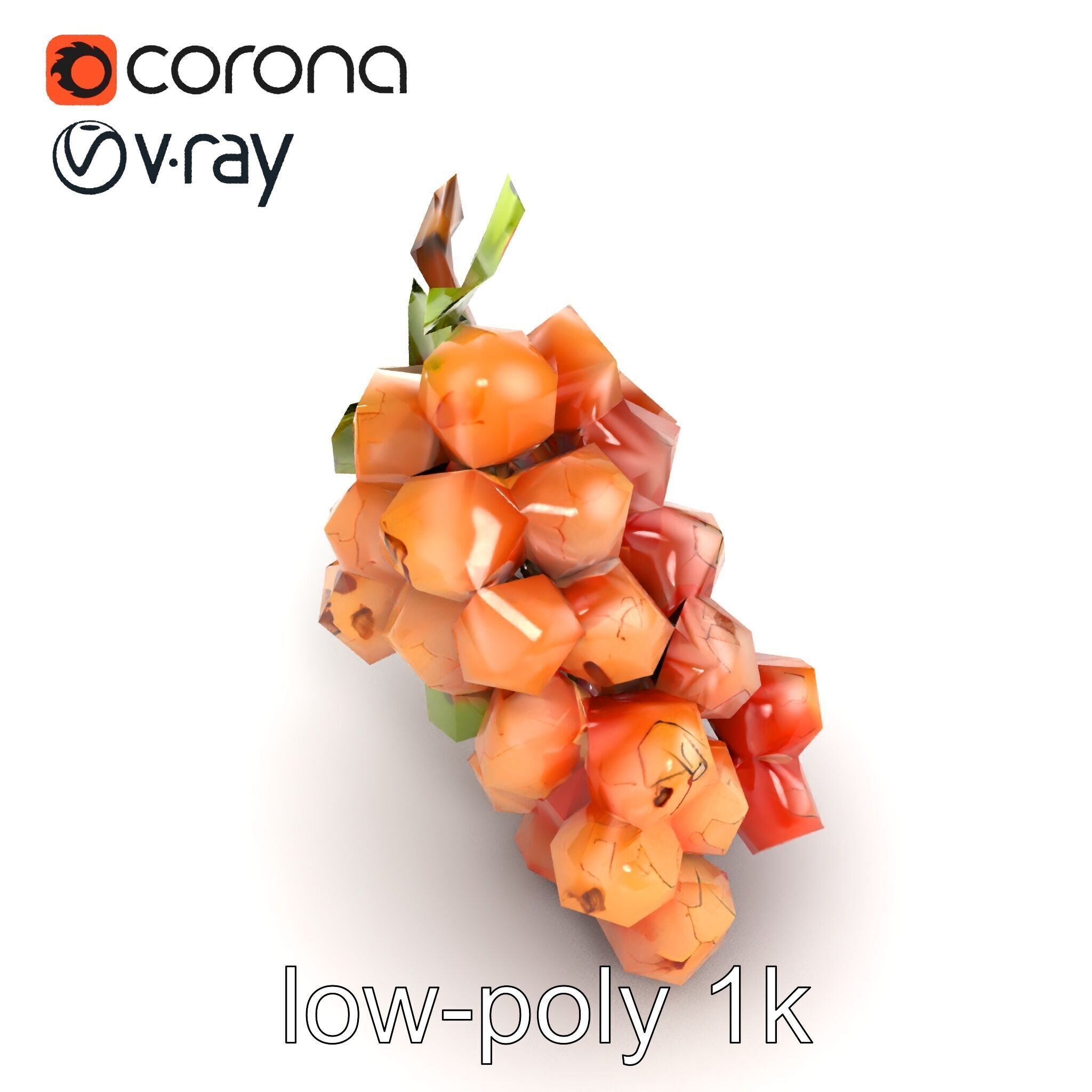 Cracked Grape Bunch Natural Details model pack Low-poly 3D model_18
