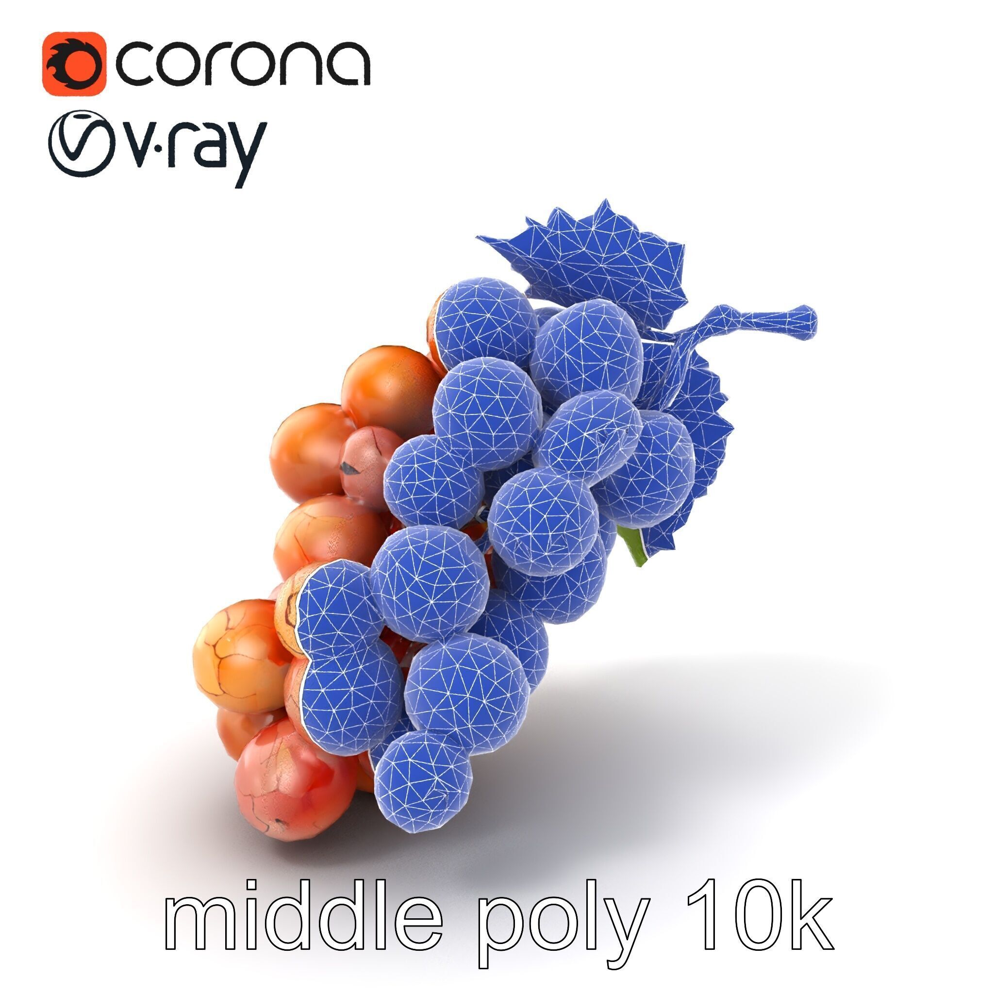 Cracked Grape Bunch Natural Details model pack Low-poly 3D model_6