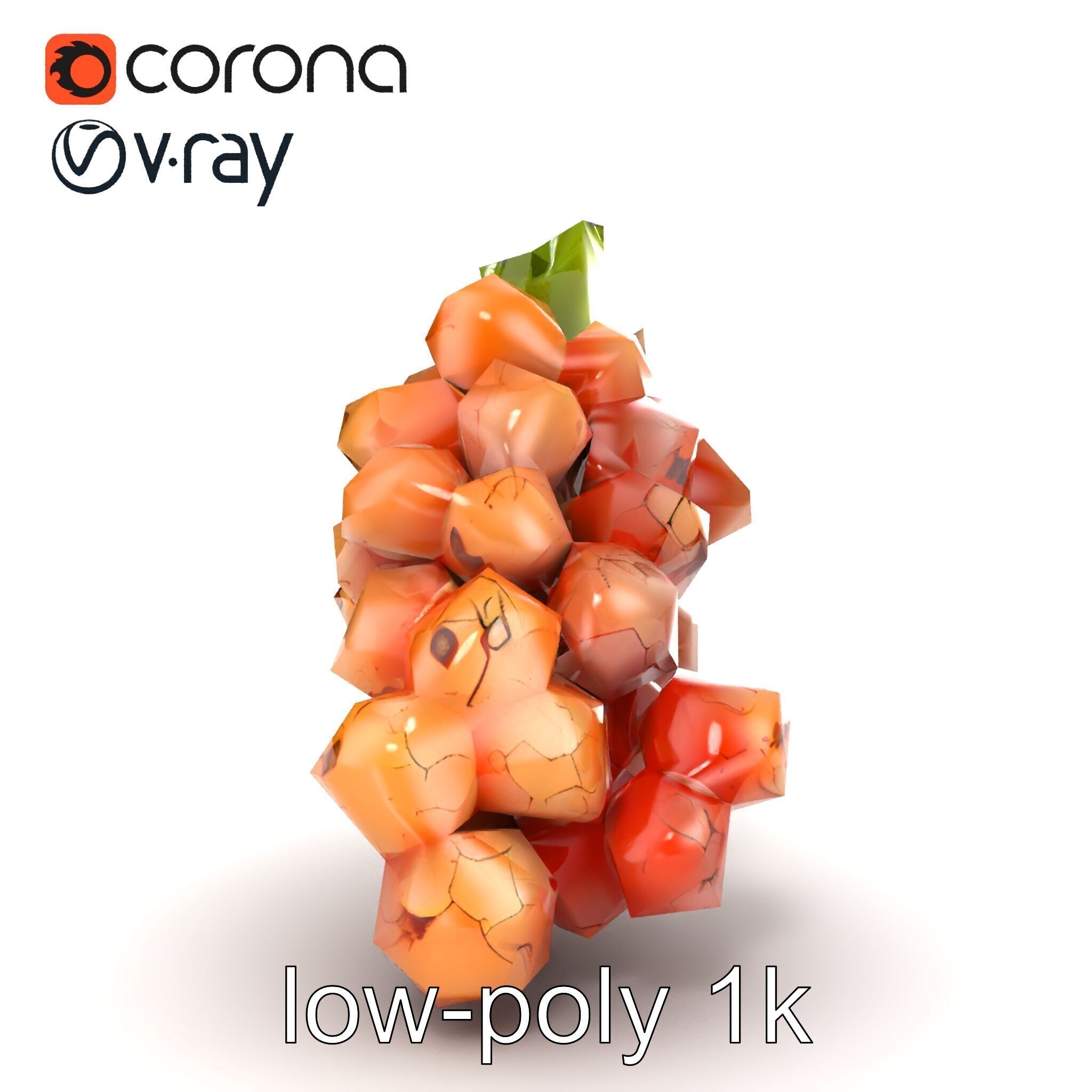 Cracked Grape Bunch Natural Details model pack Low-poly 3D model_27