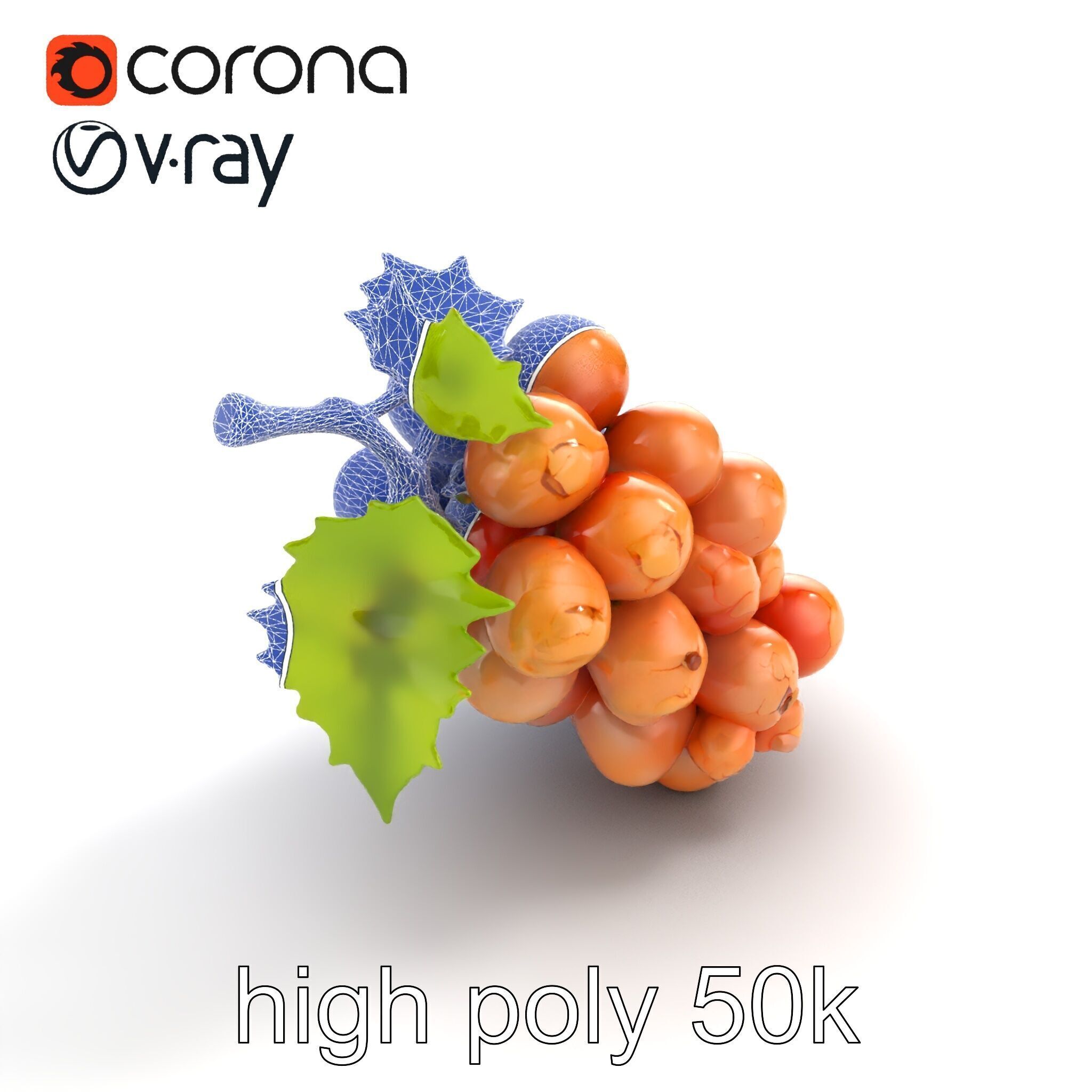 Cracked Grape Bunch Natural Details model pack Low-poly 3D model_21