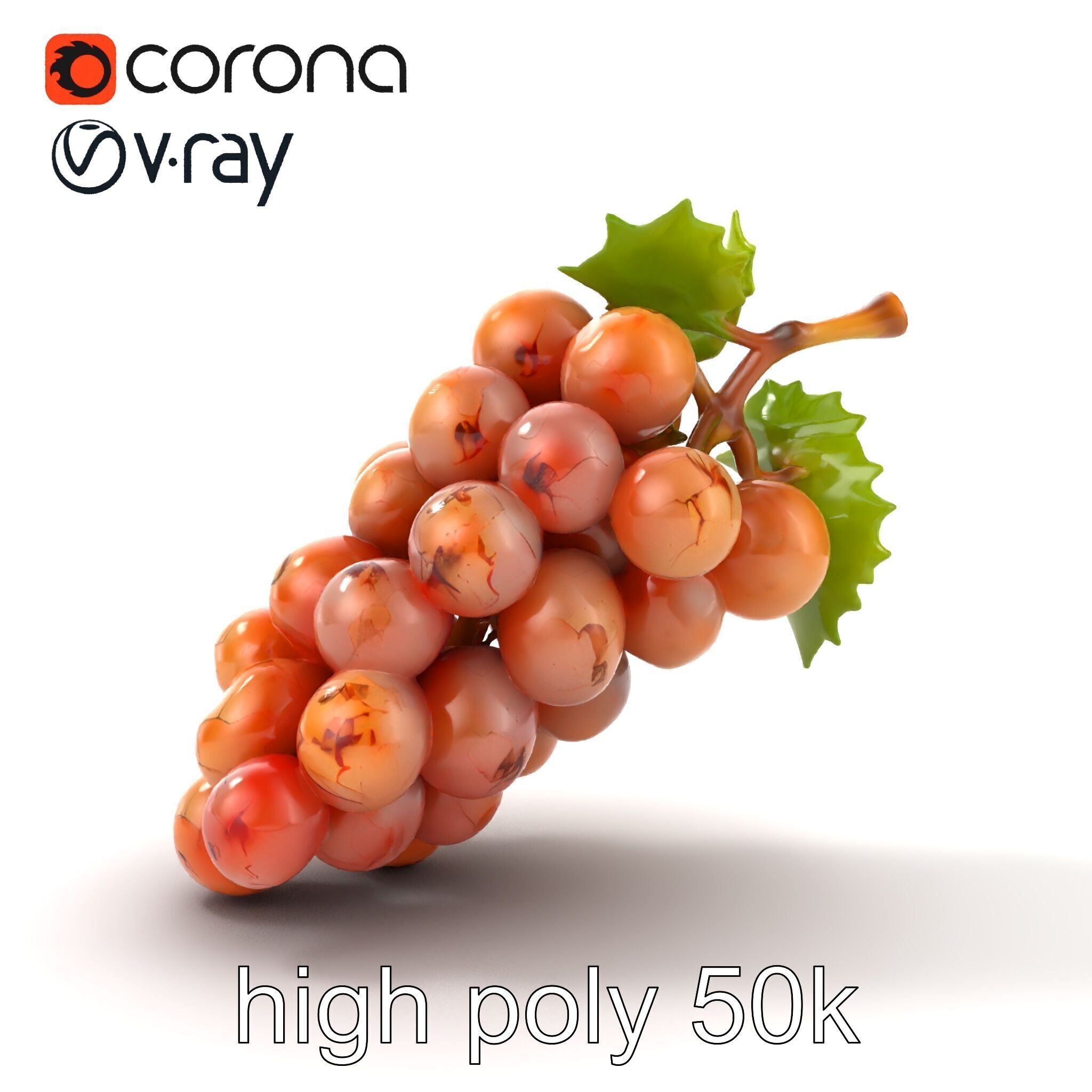 Cracked Grape Bunch Natural Details model pack Low-poly 3D model_29