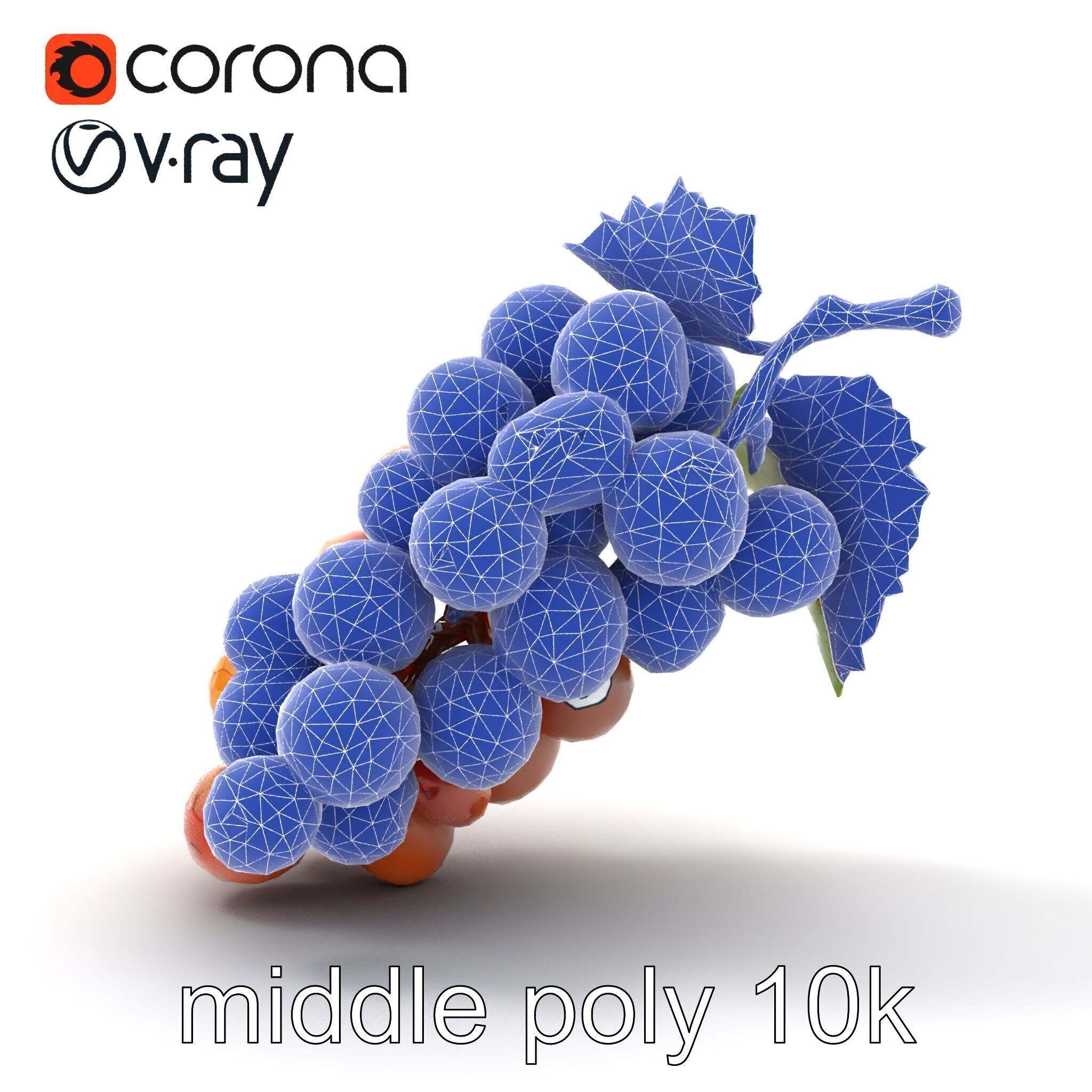 Cracked Grape Bunch Natural Details model pack Low-poly 3D model_30