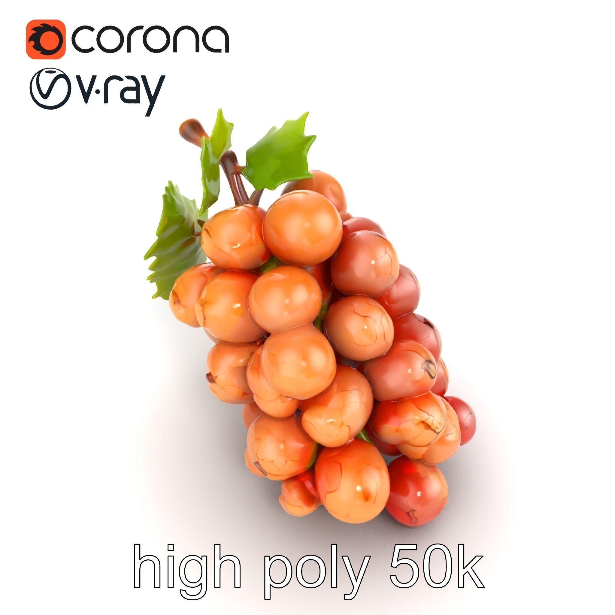 Cracked Grape Bunch Natural Details model pack Low-poly 3D model_31