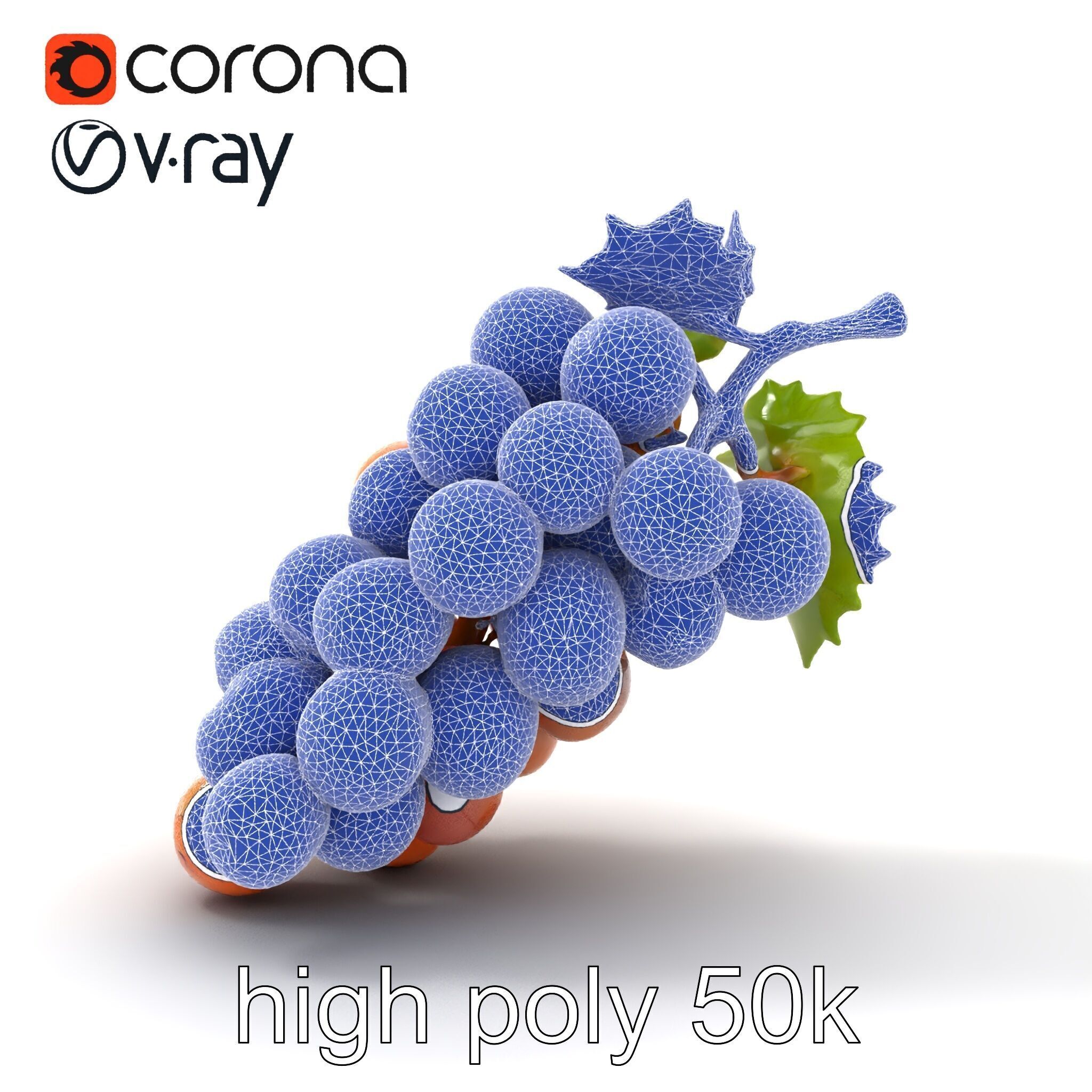 Cracked Grape Bunch Natural Details model pack Low-poly 3D model_24