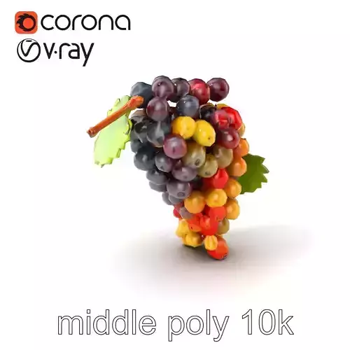 Grapevine Harvest Bunch 3D Model Pack Low-poly 3D model