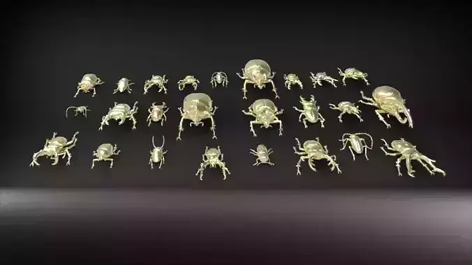 Various Collection of Beetles  pack of insects  3D print model