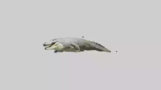 Saltwater Crocodile submerged model Low-poly 3D model