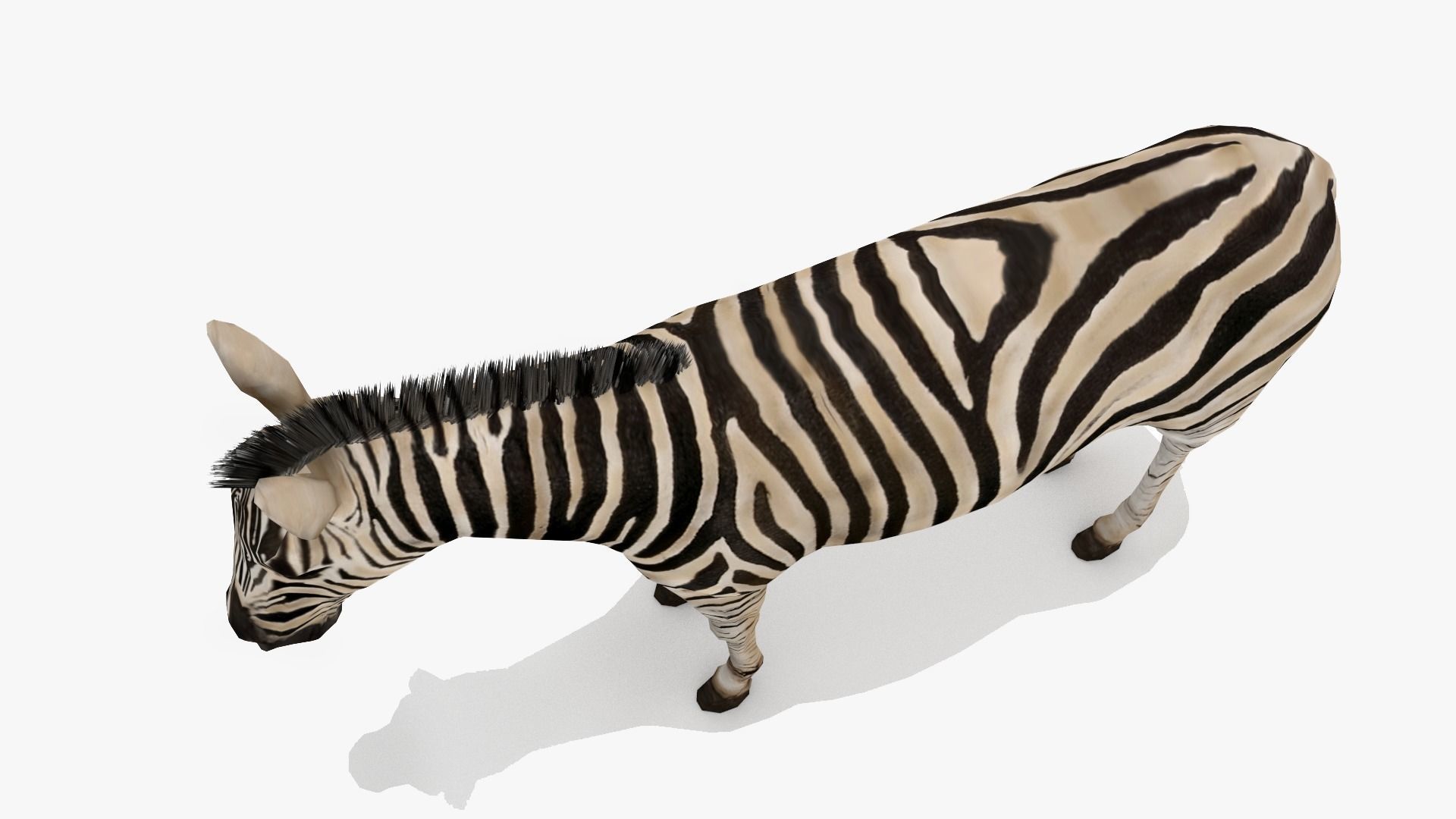 Zebra Low-poly 3D model_3