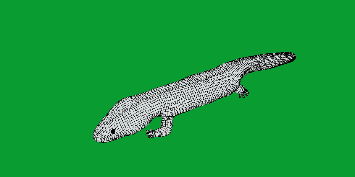 Hellbender Salamander Low-poly 3D model_16
