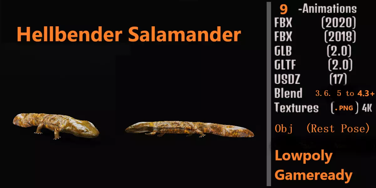 Hellbender Salamander Low-poly 3D model_0