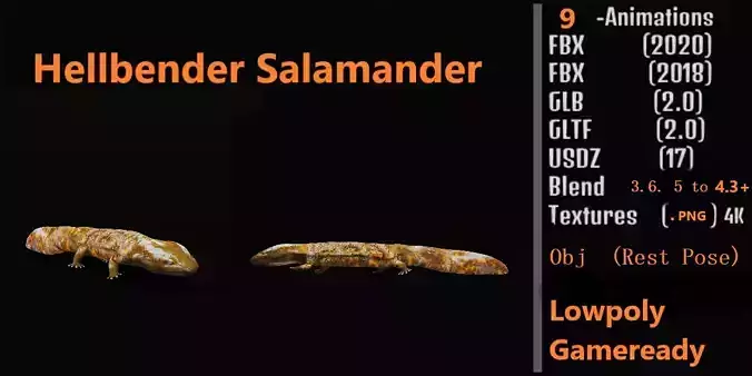 Hellbender  Salamander Low-poly 3D model
