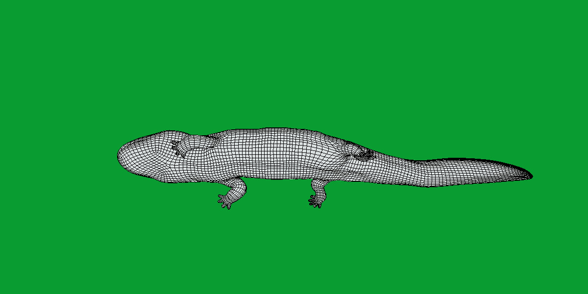 Hellbender Salamander Low-poly 3D model_17