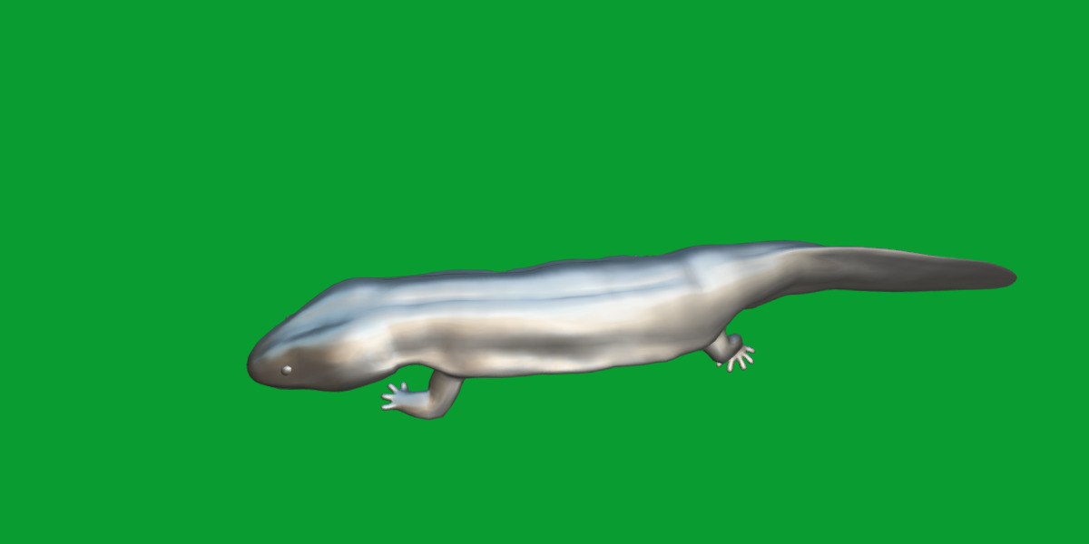 Hellbender Salamander Low-poly 3D model_12