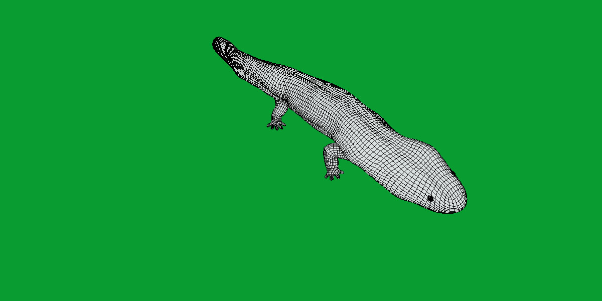 Hellbender Salamander Low-poly 3D model_14
