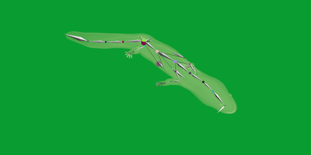 Hellbender Salamander Low-poly 3D model_24