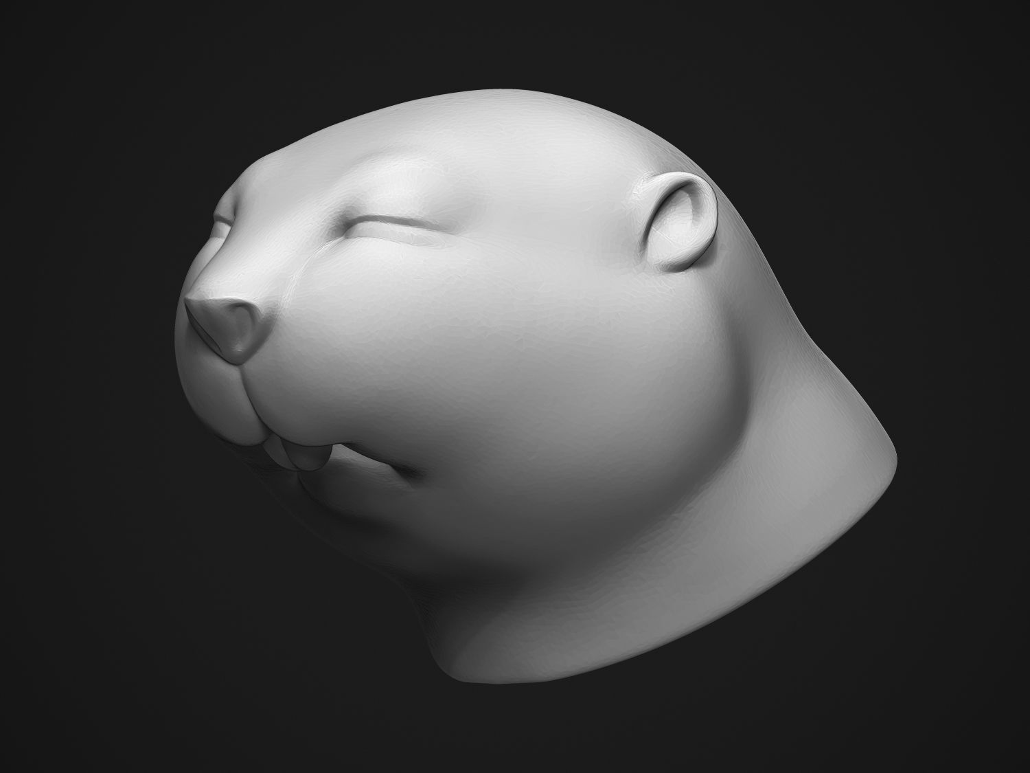 Baby Beaver 3D print model_15