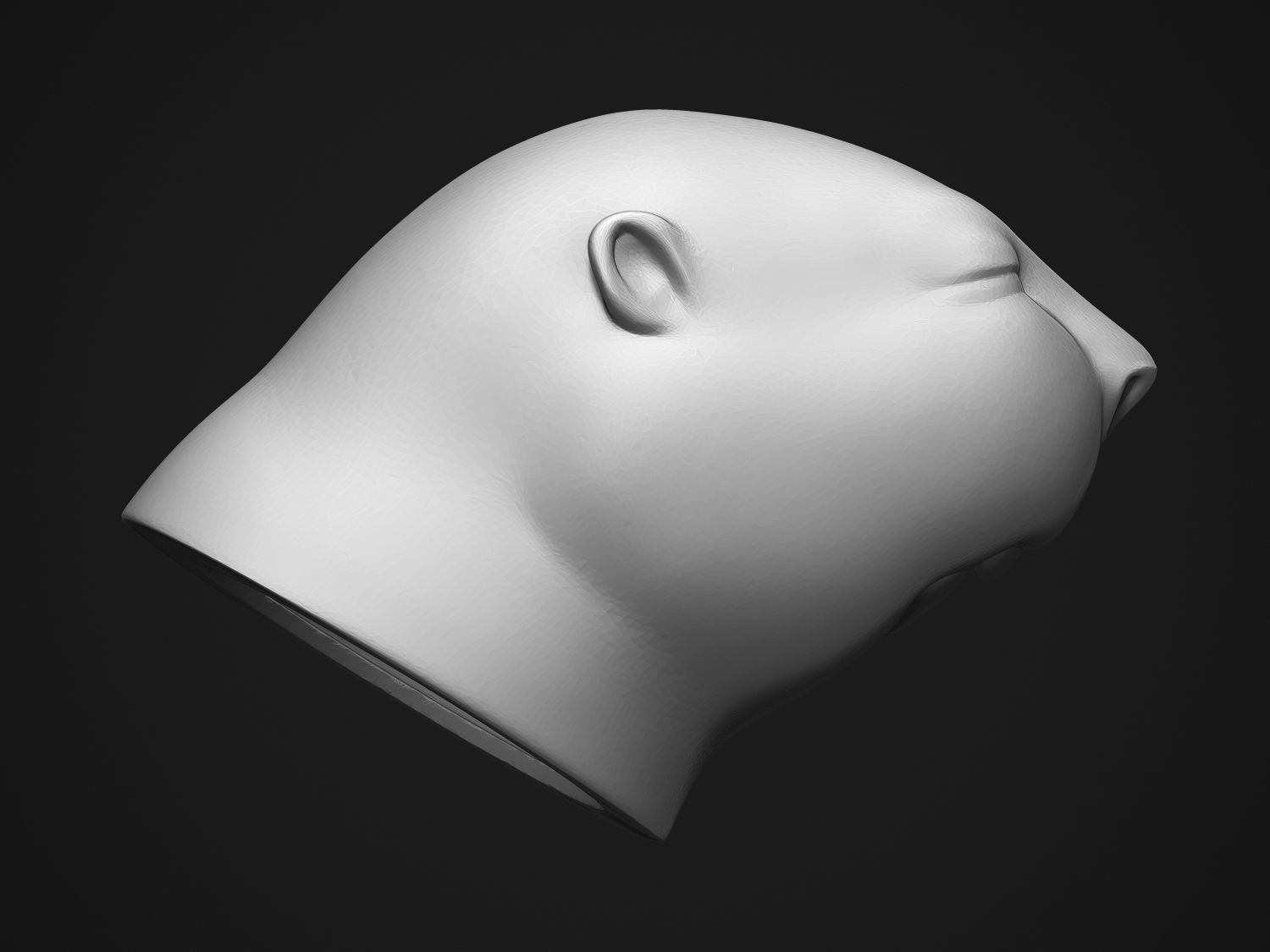 Baby Beaver 3D print model_6