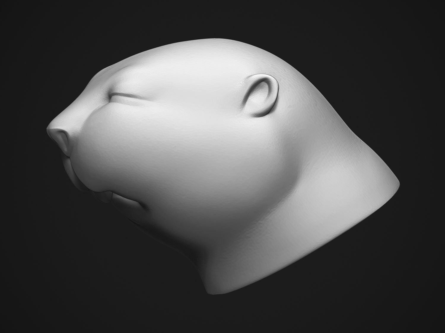 Baby Beaver 3D print model_14