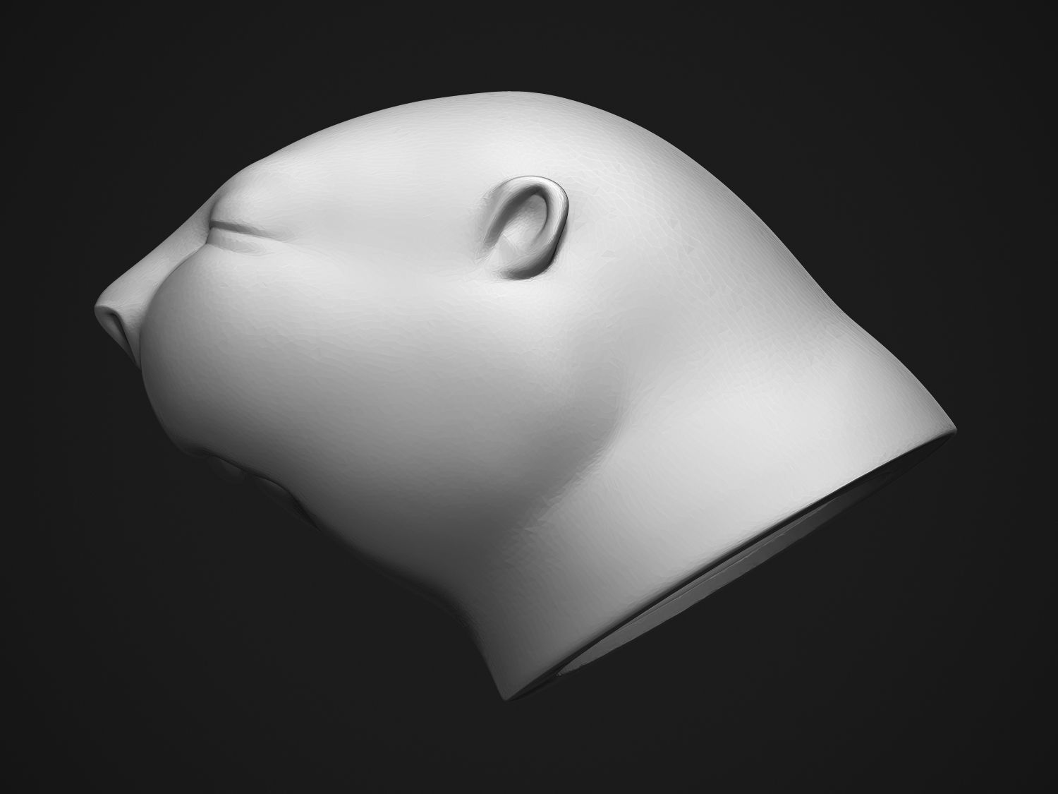 Baby Beaver 3D print model_13