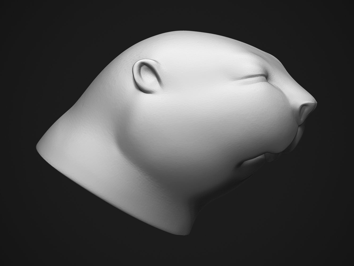 Baby Beaver 3D print model_5