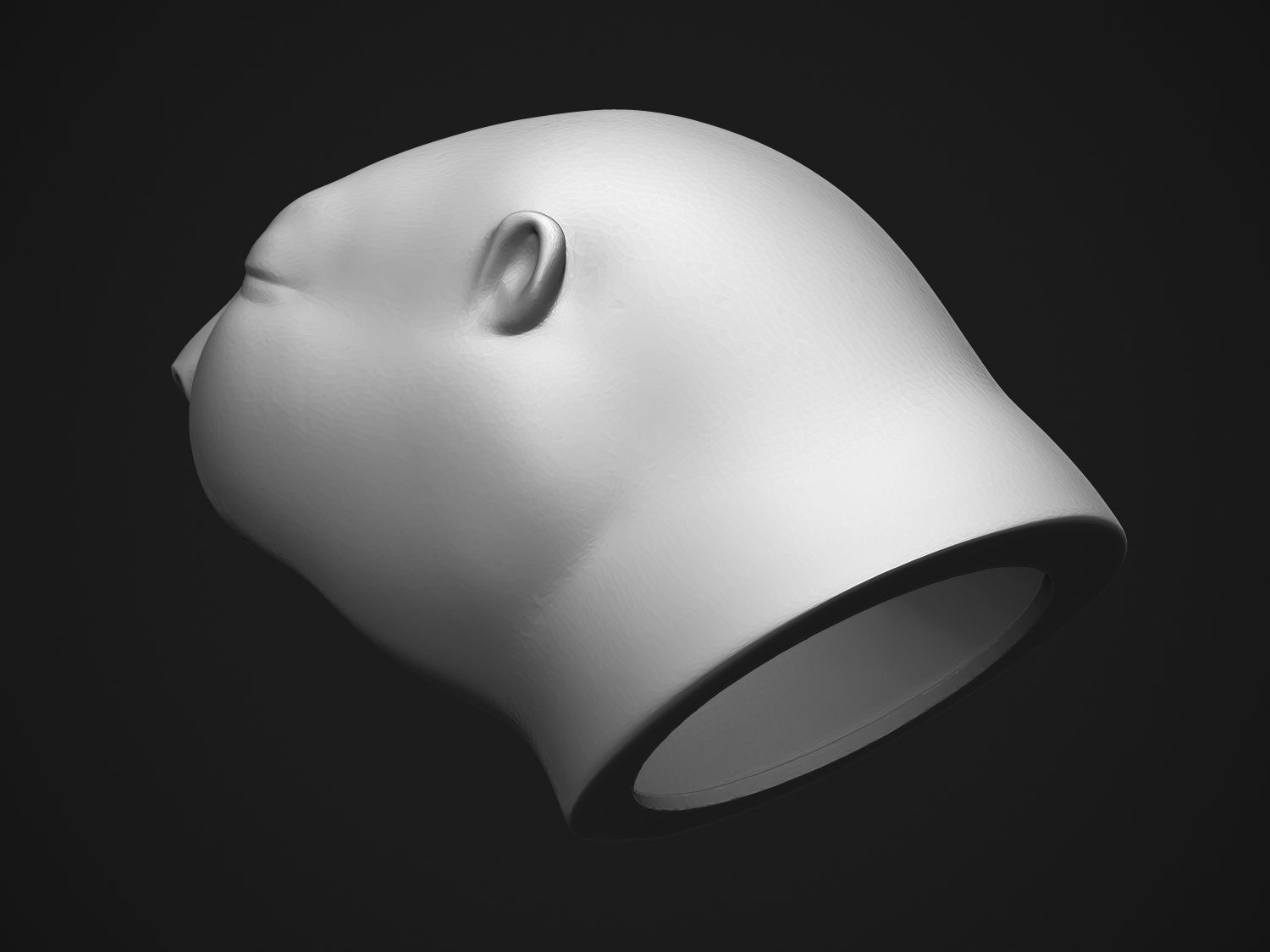 Baby Beaver 3D print model_12