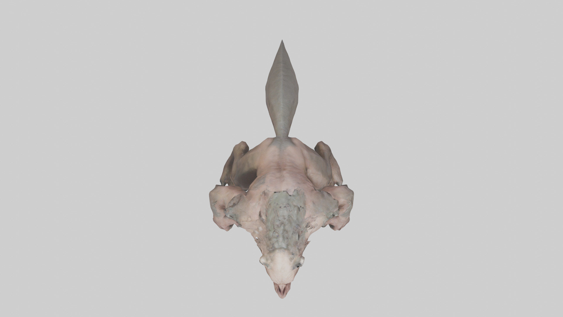 Savage Creature model Low-poly 3D model_14