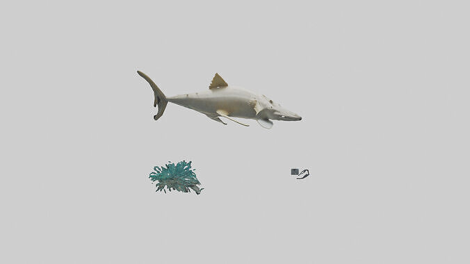 Sawfish moving near ocean floor model Low-poly 3D model