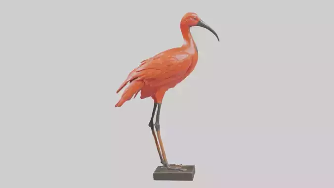 Scarlet Ibis statue model Low-poly 3D model