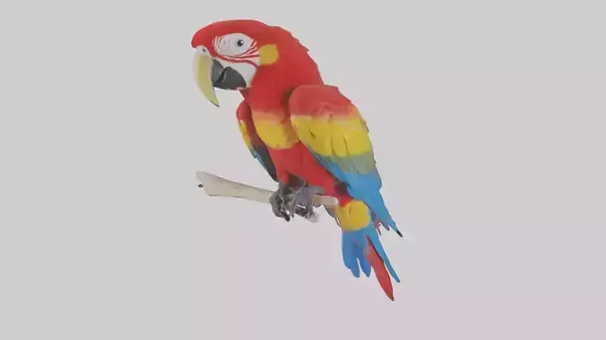 Scarlet Macaw perched model Low-poly 3D model