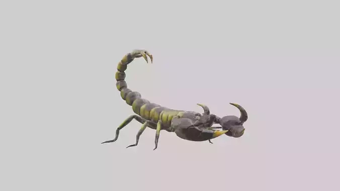 Scorpion standing alert model Low-poly 3D model