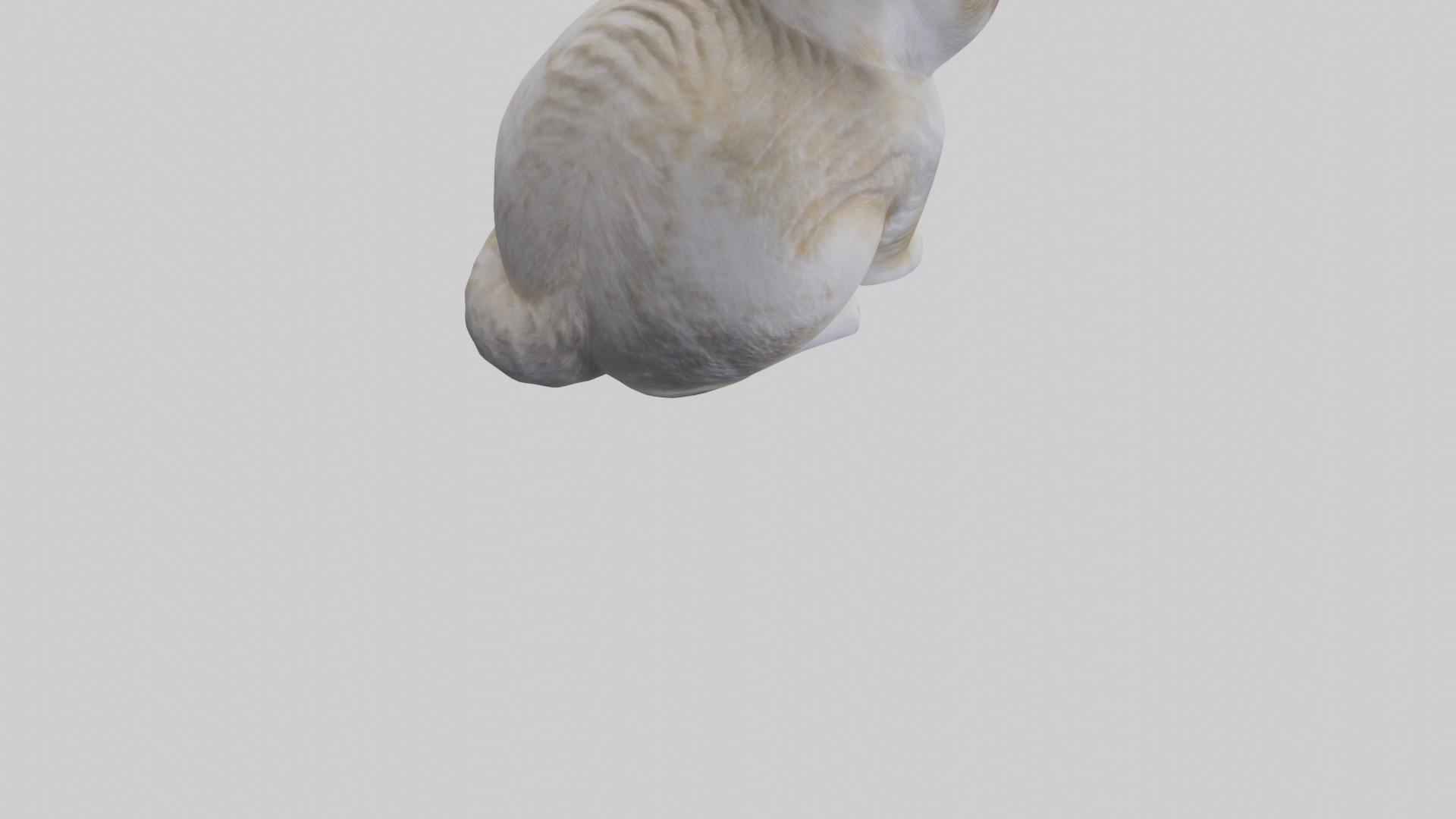 Scottish Fold Cat statue model Low-poly 3D model_5