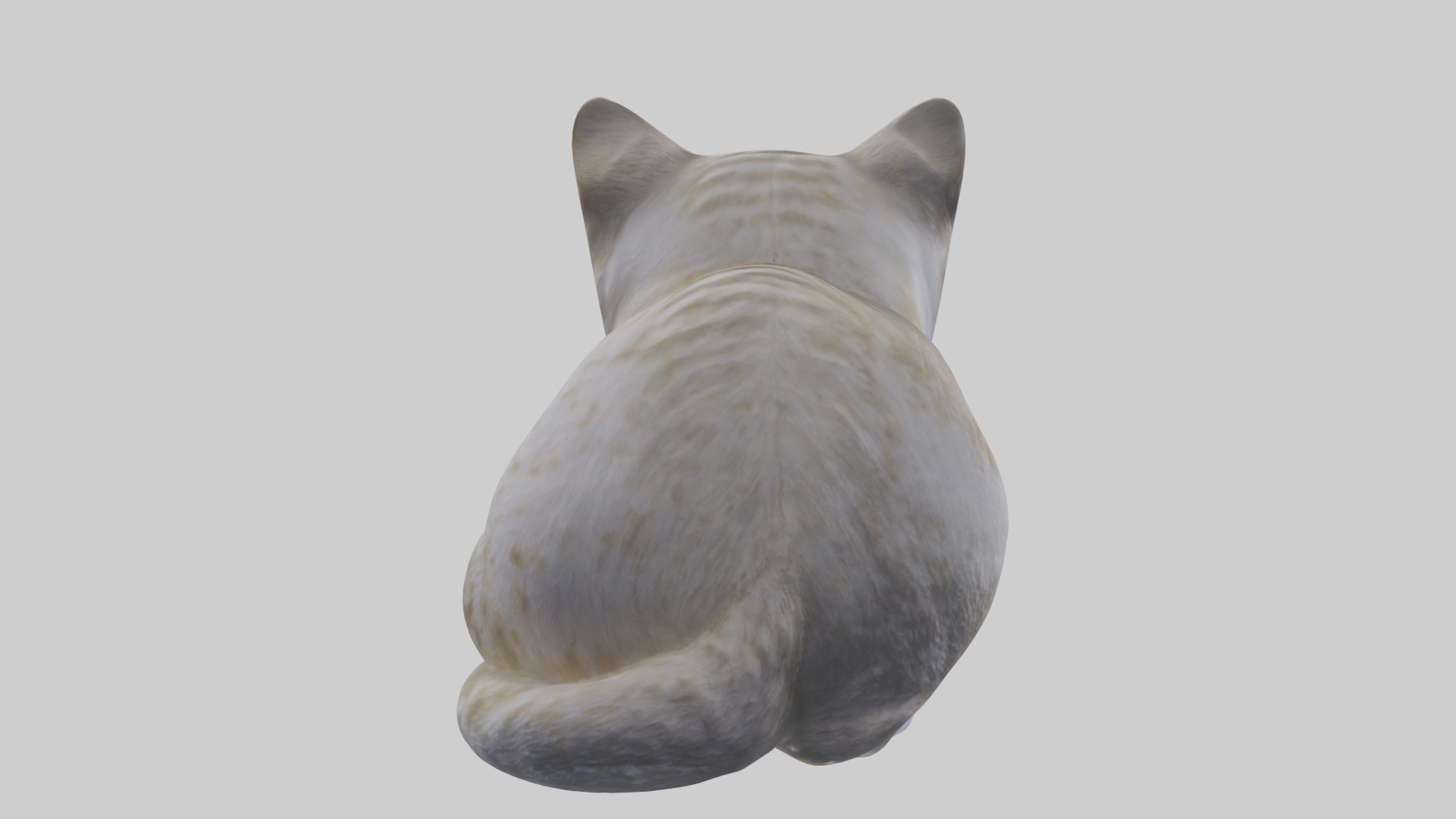 Scottish Fold Cat statue model Low-poly 3D model_1