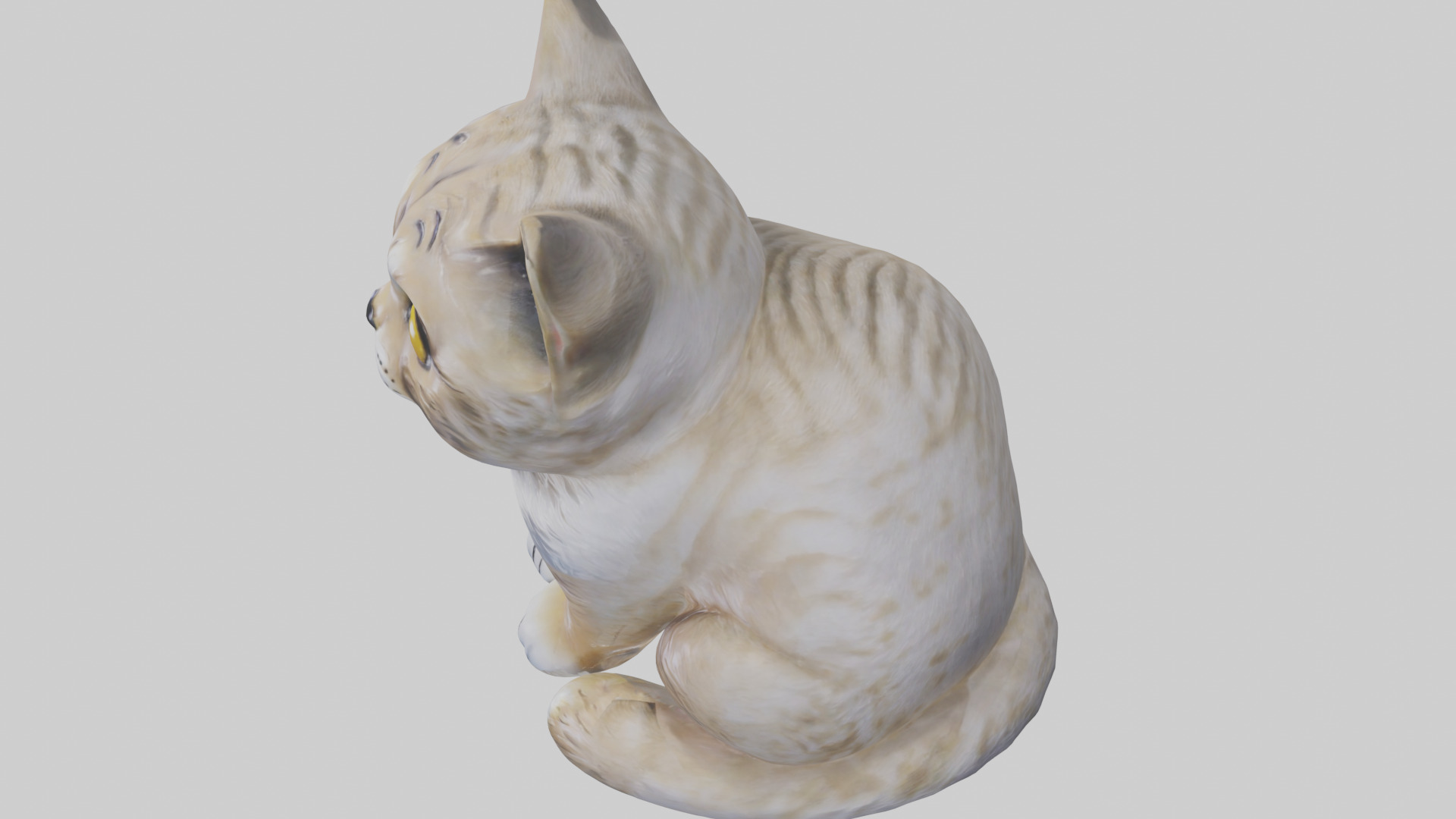 Scottish Fold Cat statue model Low-poly 3D model_17