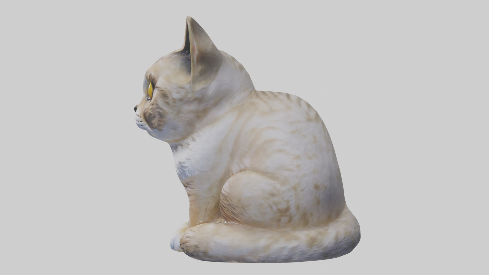 Scottish Fold Cat statue model Low-poly 3D model_12