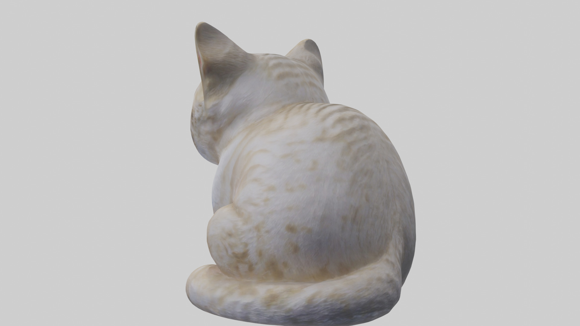 Scottish Fold Cat statue model Low-poly 3D model_2