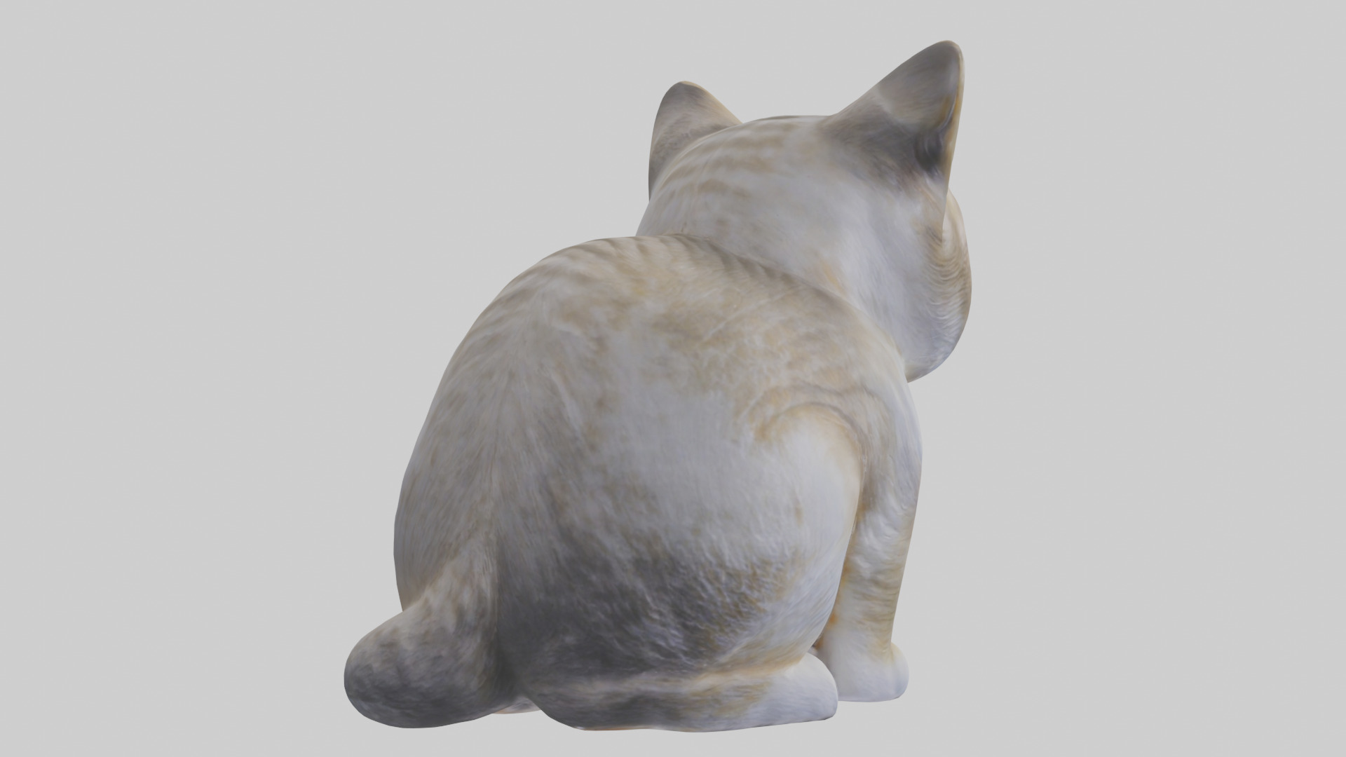 Scottish Fold Cat statue model Low-poly 3D model_3