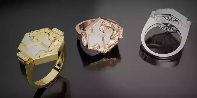 Carrera y carrera Ring - HEXAGON 3D print model