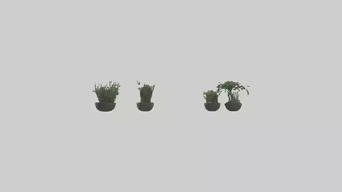 Sculptural Wall Planters Low-poly 3D model