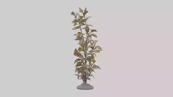 Sculpture of Wind in Leaves statue model
