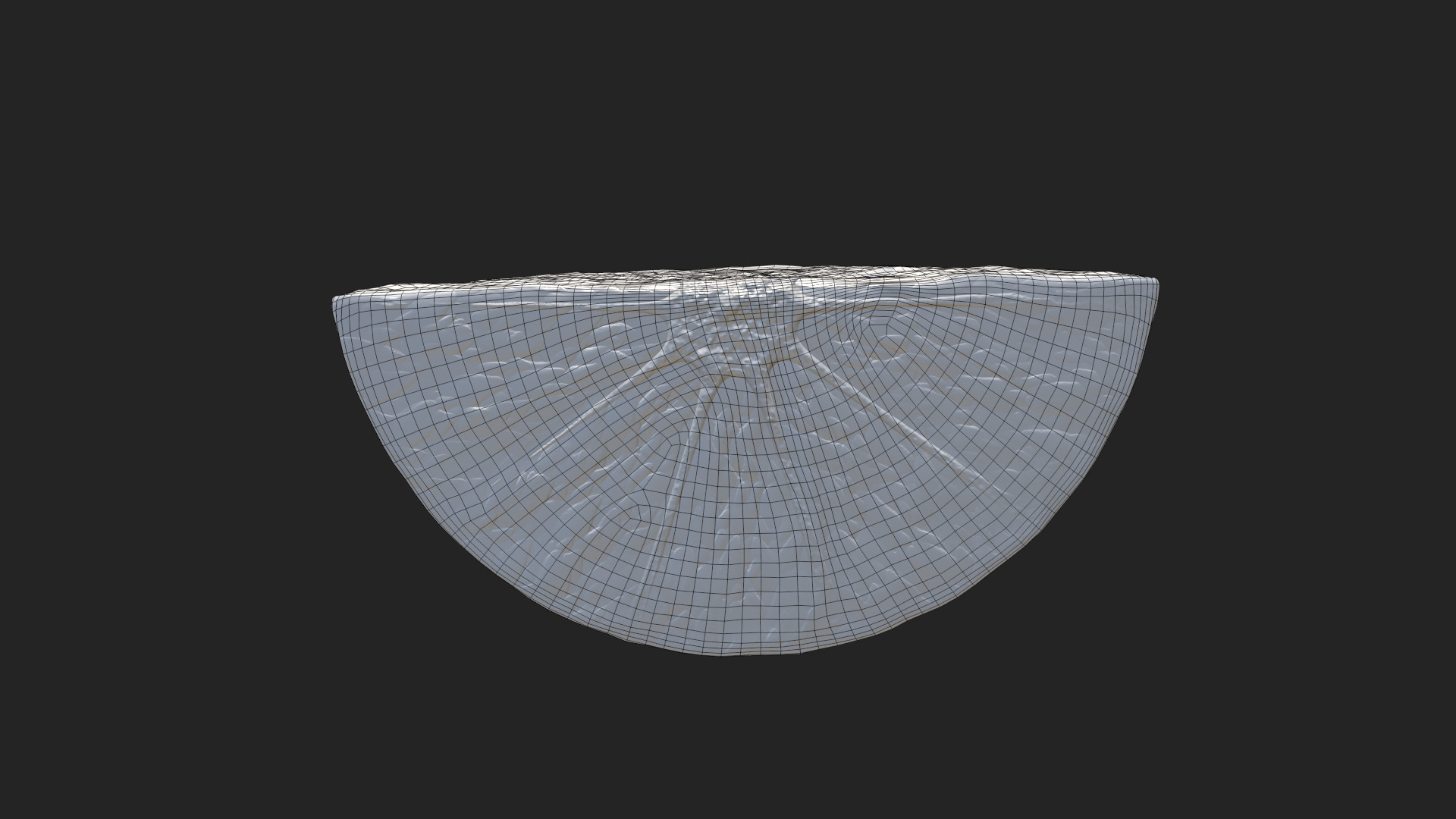 Citrus Slice Collection Low-poly 3D model_33