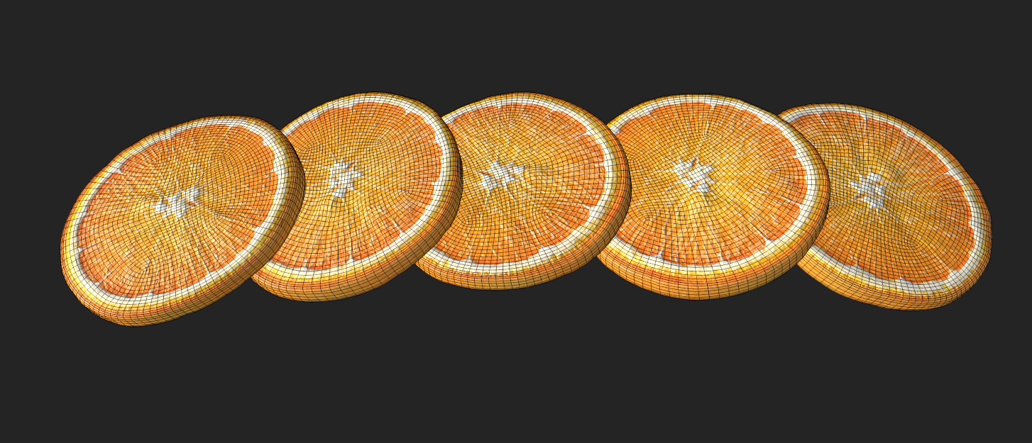 Citrus Slice Collection Low-poly 3D model_23