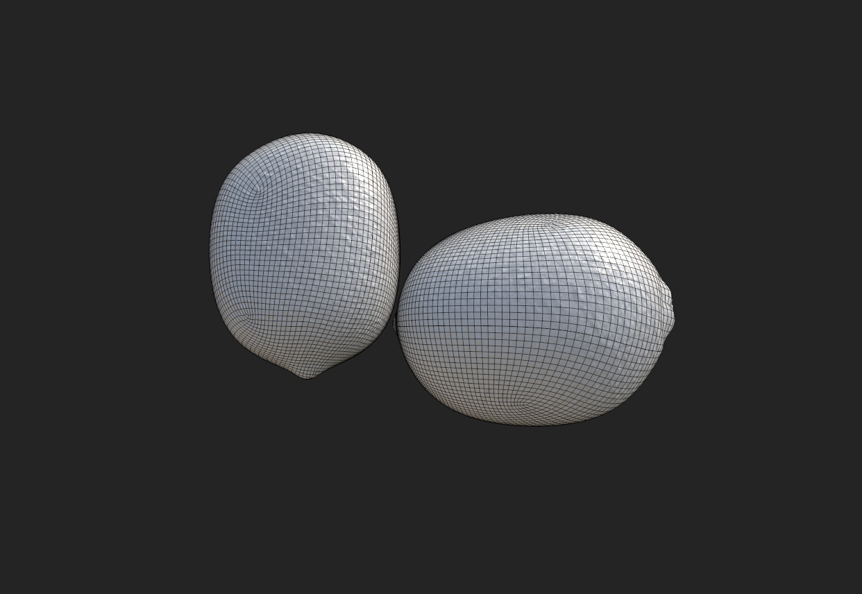 Citrus Slice Collection Low-poly 3D model_19