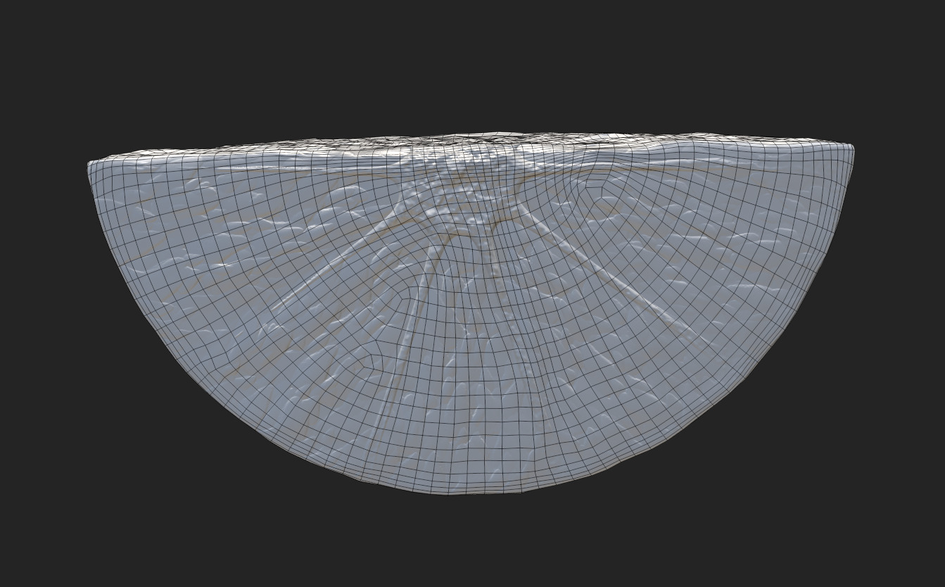 Citrus Slice Collection Low-poly 3D model_27