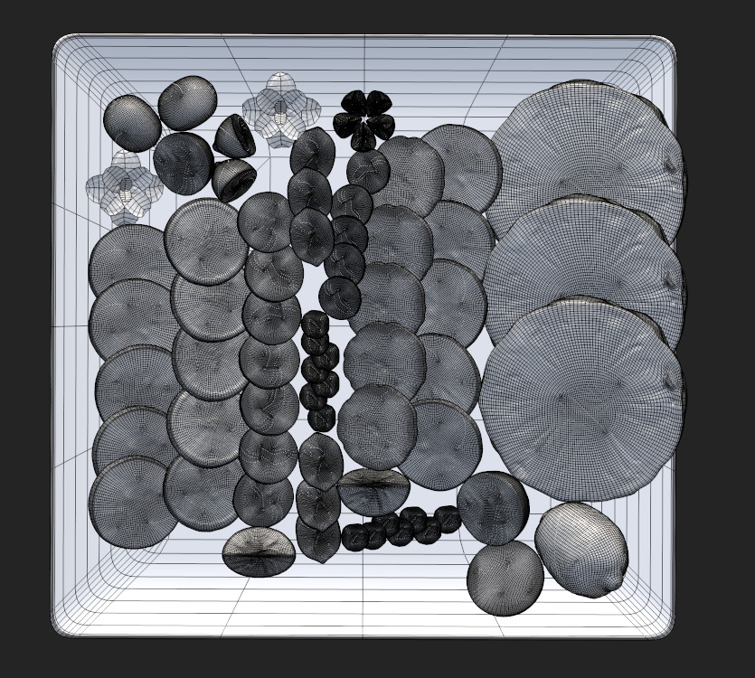 Citrus Slice Collection Low-poly 3D model_21