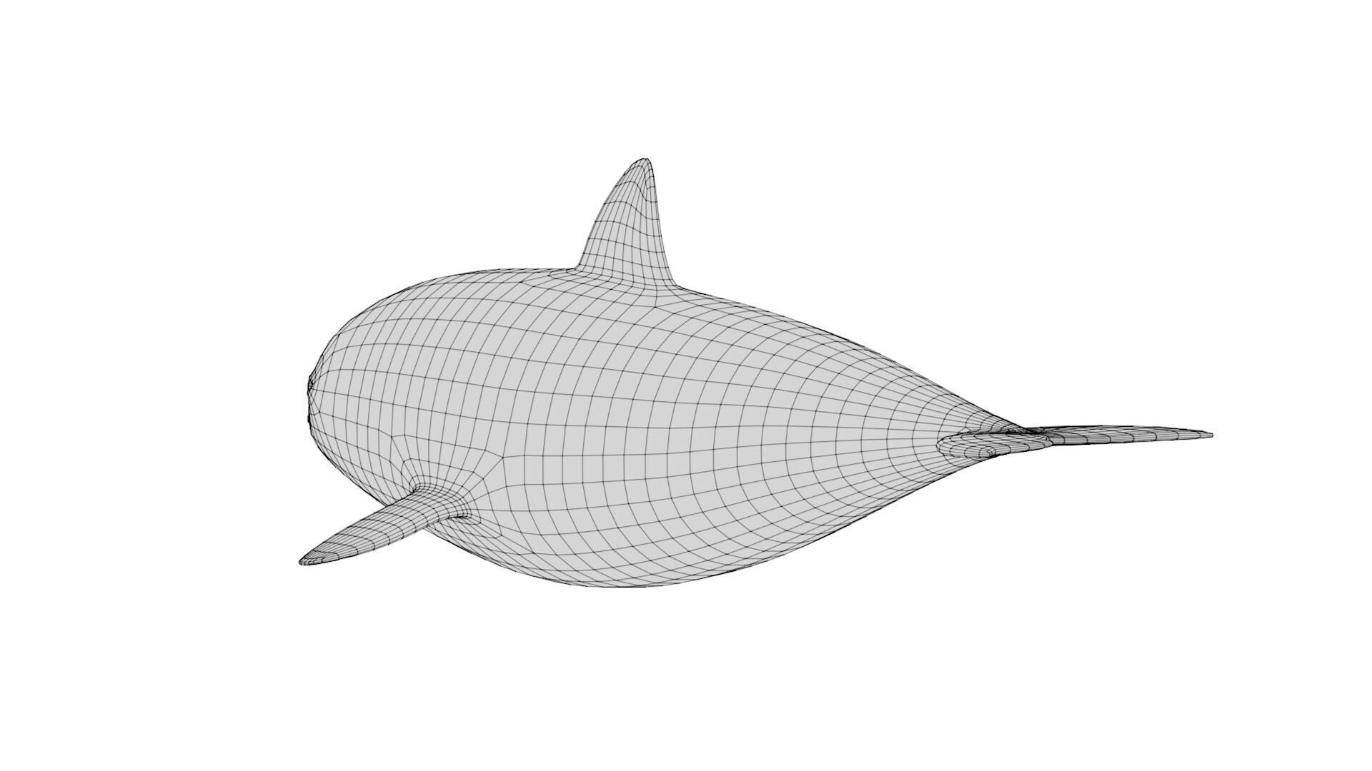 Rigged Cartoon Killer Whale 3D model_9