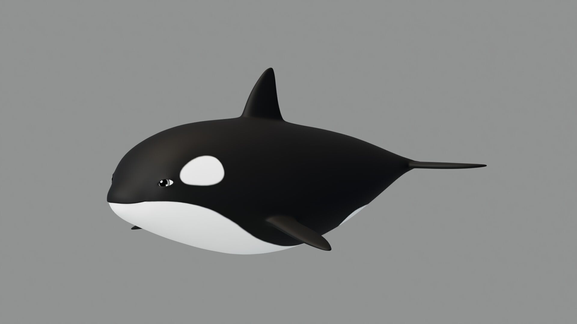 Rigged Cartoon Killer Whale 3D model_2