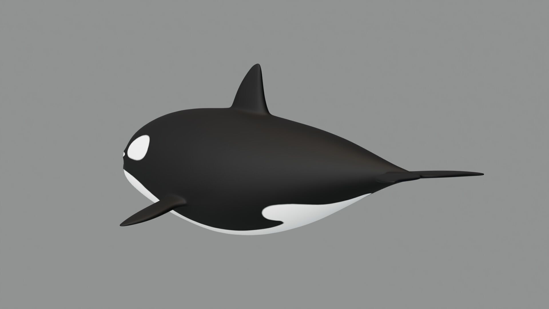 Rigged Cartoon Killer Whale 3D model_4