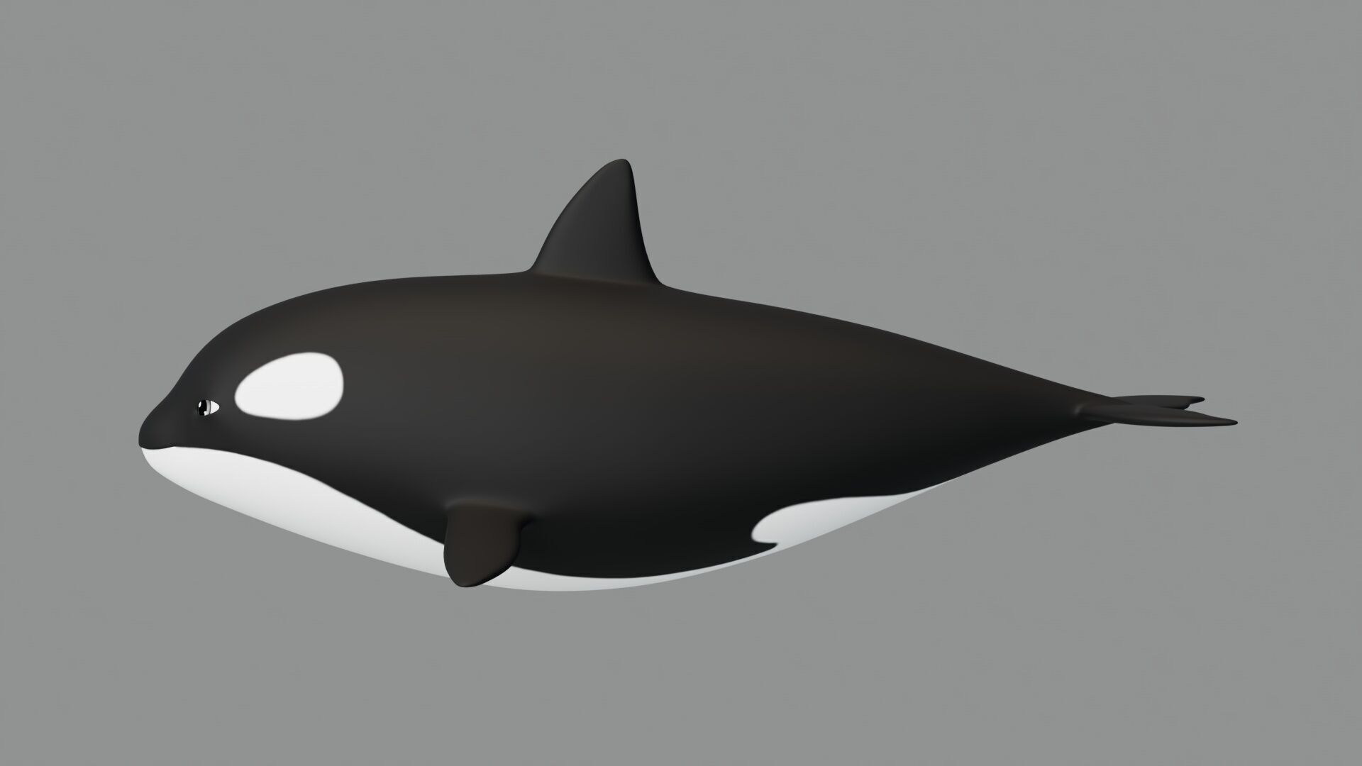 Rigged Cartoon Killer Whale 3D model_3
