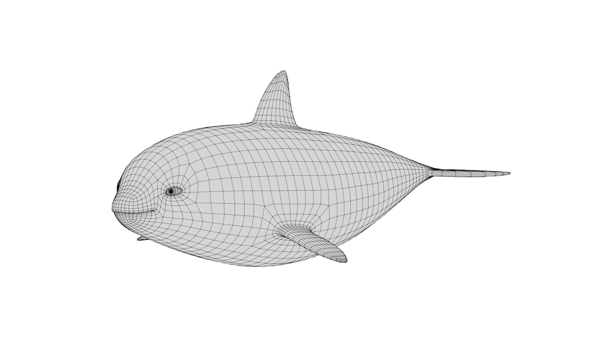 Rigged Cartoon Killer Whale 3D model_7