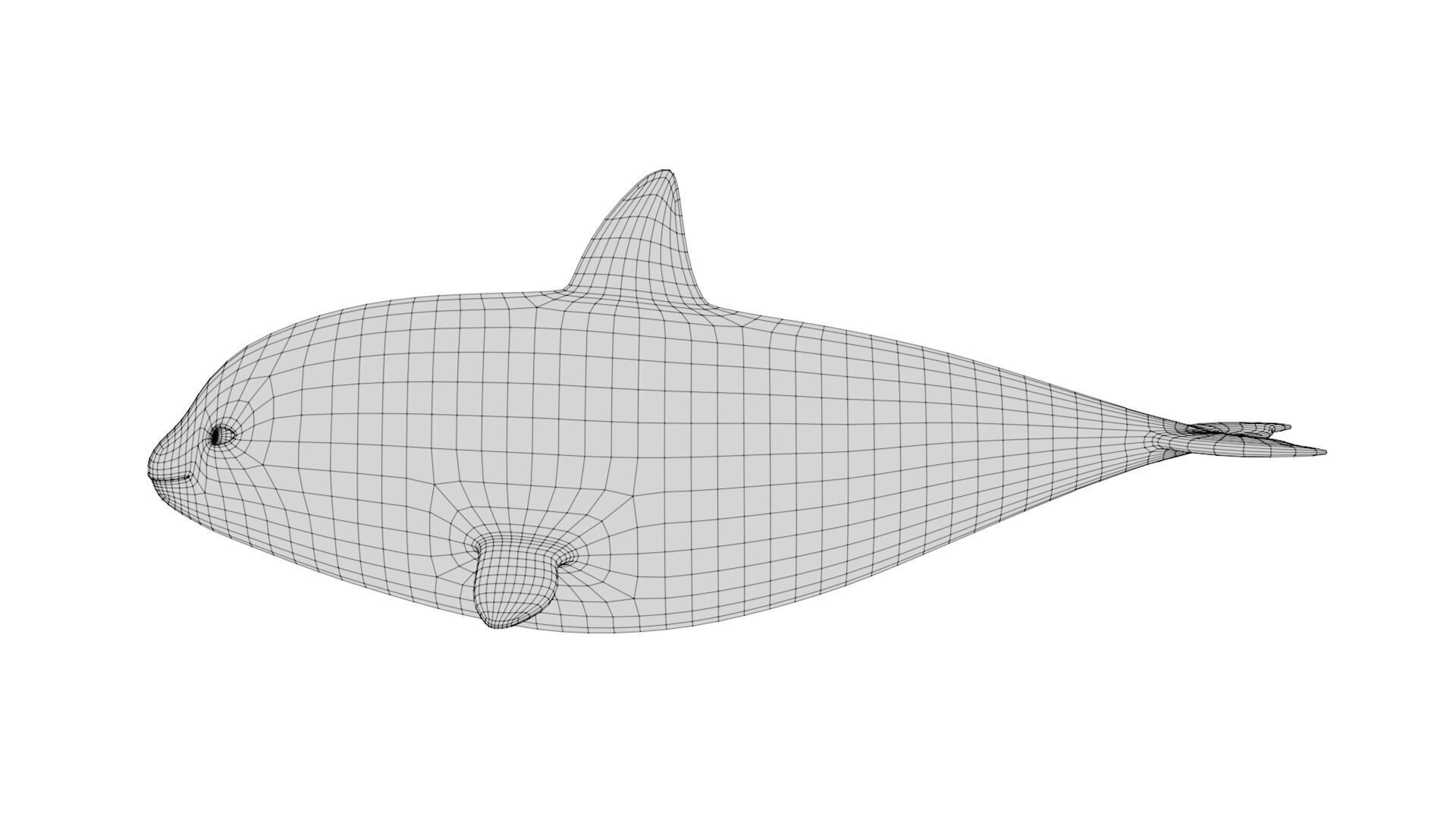 Rigged Cartoon Killer Whale 3D model_8